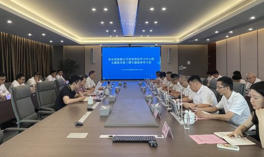 省水投能源公司党委开展理论学习中心组主题教育第三期专题集体学习会